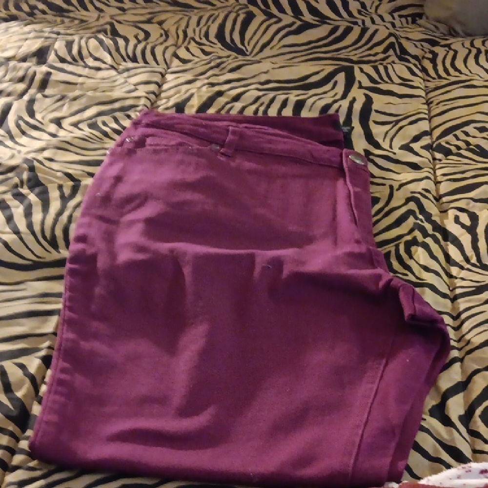 Stylish Purple Pants